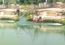 Bhakra-Canal-Bridge-News