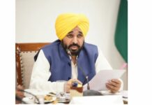 Punjab Government News