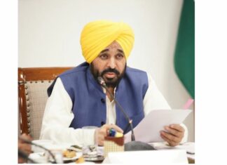 Punjab Government News
