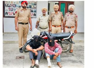 Crime News