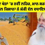 Crops of Punjab