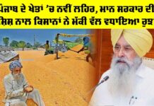 Crops of Punjab