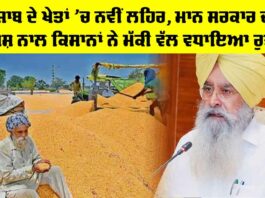 Crops of Punjab
