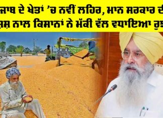 Crops of Punjab