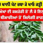 Curry Leaves
