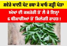 Curry Leaves