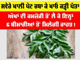 Curry Leaves