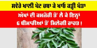 Curry Leaves