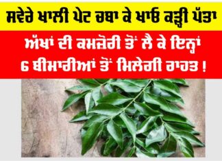Curry Leaves: ਸਵੇਰੇ ਖਾਲੀ ਪੇਟ ਖਾਓ ਕੜ੍ਹੀ ਪੱਤਾ, ਅੱਖਾਂ ਦੀ ਕਮਜ਼ੋਰੀ ਤੋਂ ਲੈ ਕੇ ਇਨ੍ਹਾਂ 6 ਬੀਮਾਰੀਆਂ ਤੋਂ ਮਿਲੇਗੀ ਰਾਹਤ! Curry Leaves