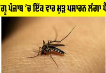 Dengue Cases In Punjab