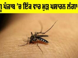 Dengue Cases In Punjab
