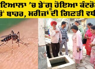Dengue