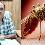Dengue Prevention