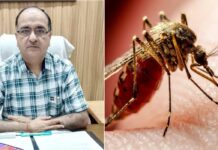 Dengue Prevention