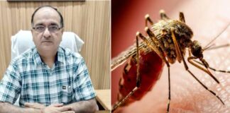 Dengue Prevention