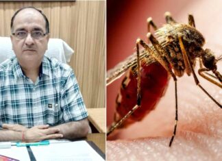 Dengue Prevention