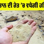 Desert Greenery Project