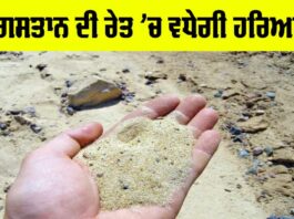Desert Greenery Project: ਰੇਗਿਸਤਾਨ ਦੀ ਰੇਤ ’ਚ ਵਧੇਗੀ ਹਰਿਆਲੀ Desert Greenery Project