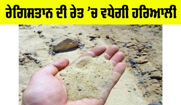 Desert Greenery Project Desert Greenery Project