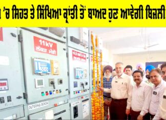Electricity Revolution in Punjab