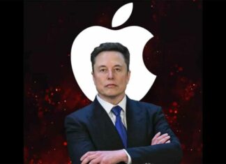 Elon Musk Net Worth 2025