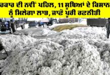 Cotton Procurement Centers