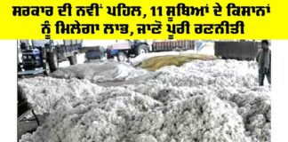 Cotton Procurement Centers