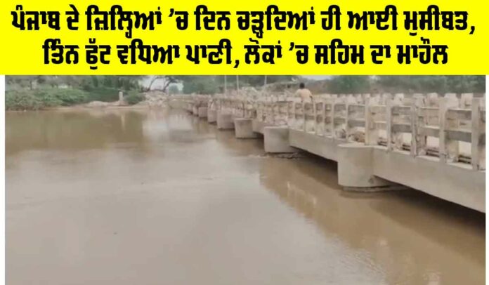 Fazilka News