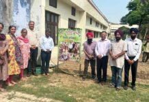 Feelkhana Kitchen Garden
