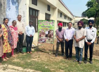 Feelkhana Kitchen Garden