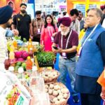 Food Industry In Punjab