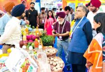 Food Industry In Punjab