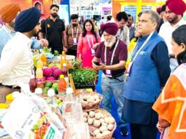 Food Industry In Punjab