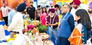 Food Industry In Punjab