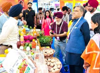 Food Industry In Punjab