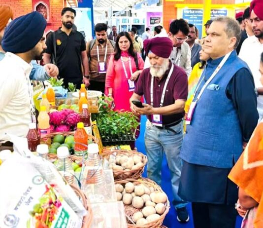 Food Industry In Punjab