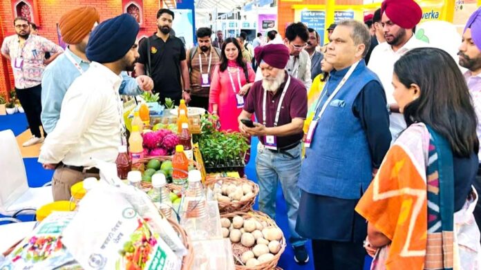 Food-Industry-In-Punjab Food Industry In Punjab