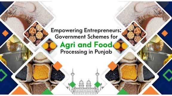 Food Industry In Punjab