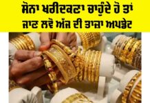 Gold Price Today
