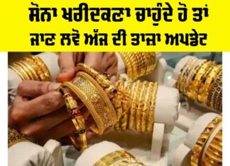 Gold Price Today