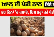 Grow Early Potatoes