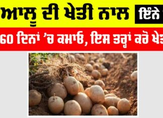 Grow Early Potatoes