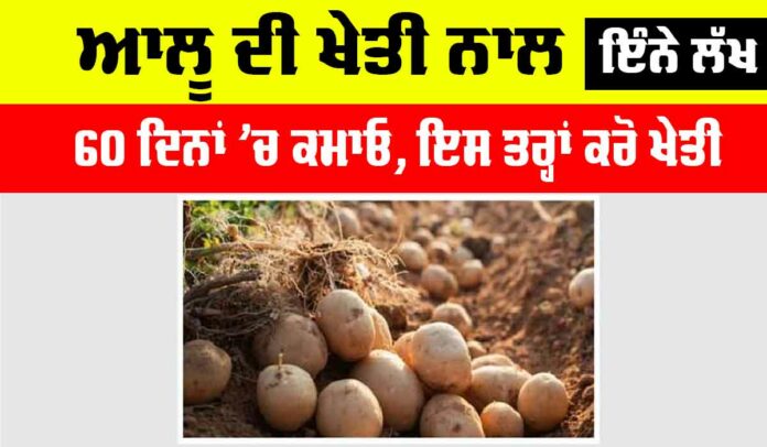 Grow Early Potatoes Grow Early Potatoes