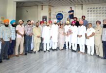 Punjab Politics News