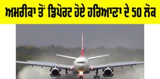 Haryana News