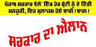 Holiday Punjab