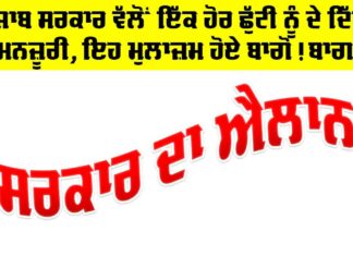 Holiday Punjab