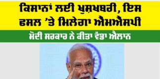 MSP Kisan News