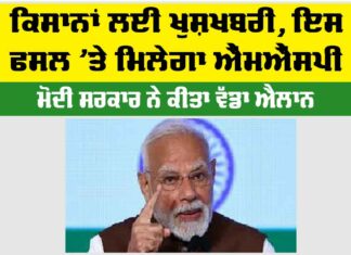 MSP Kisan News