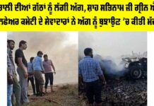Malout News: ਪਰਾਲੀ ਦੀਆਂ ਗੱਠਾਂ ਨੂੰ ਲੱਗੀ ਅੱਗ, ਸ਼ਾਹ ਸਤਿਨਾਮ ਜੀ ਗ੍ਰੀਨ ਐਸ ਵੈਲਫੇਅਰ ਕਮੇਟੀ ਦੇ ਸੇਵਾਦਾਰਾਂ ਨੇ ਅੱਗ ਨੂੰ ਬੁਝਾਉਣ ’ਚ ਕੀਤੀ ਮੱਦਦ Malout News